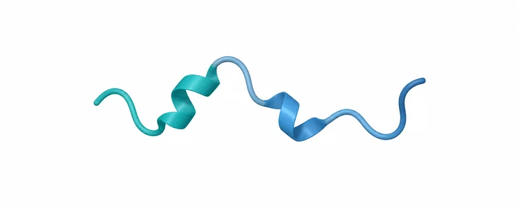 Illustration of a peptide chain